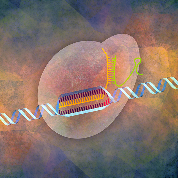 Integrated DNA Technologies